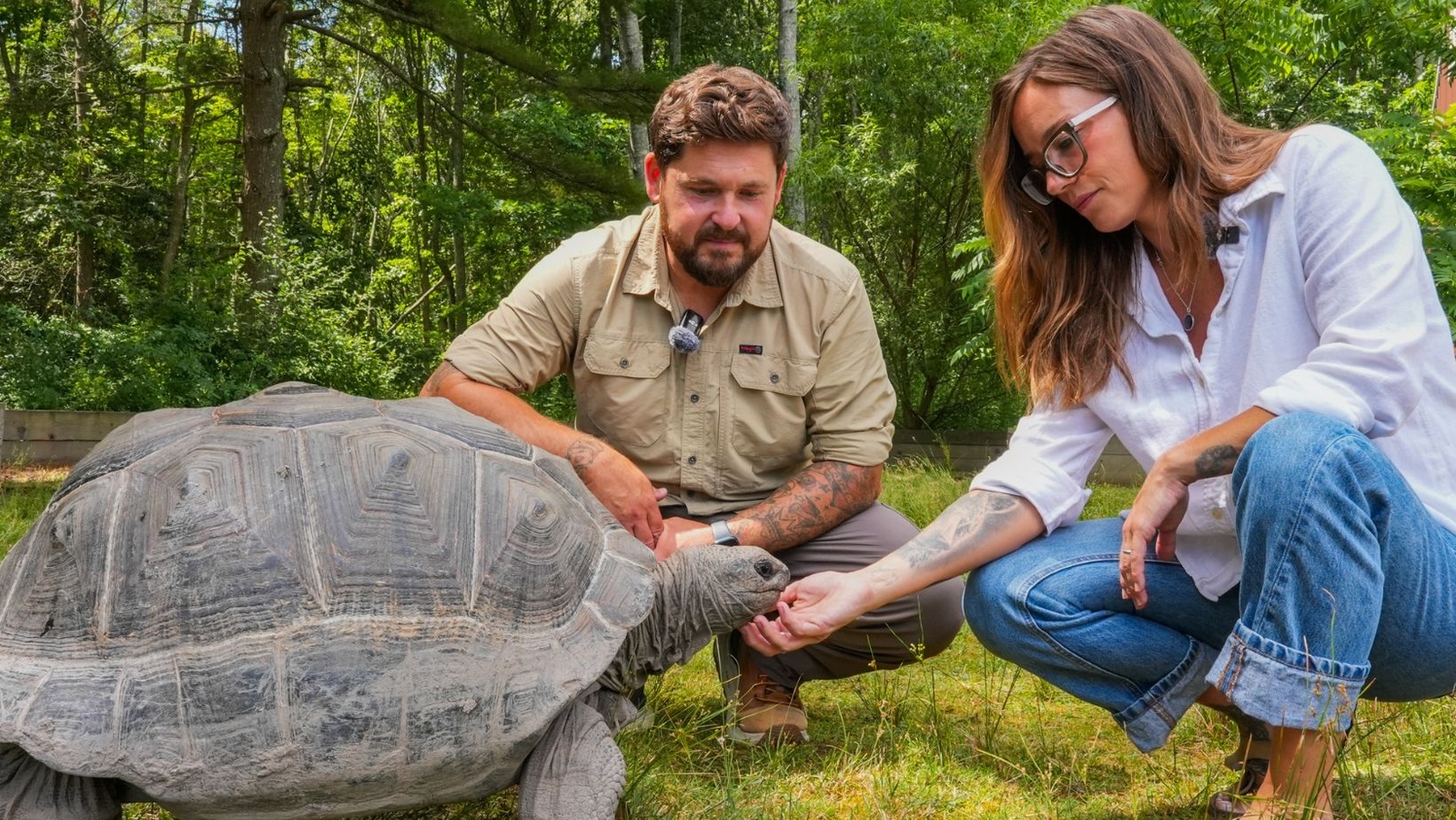 Garden State Tortoise: Educating Millions About Animals in South Jersey - News Directory 3