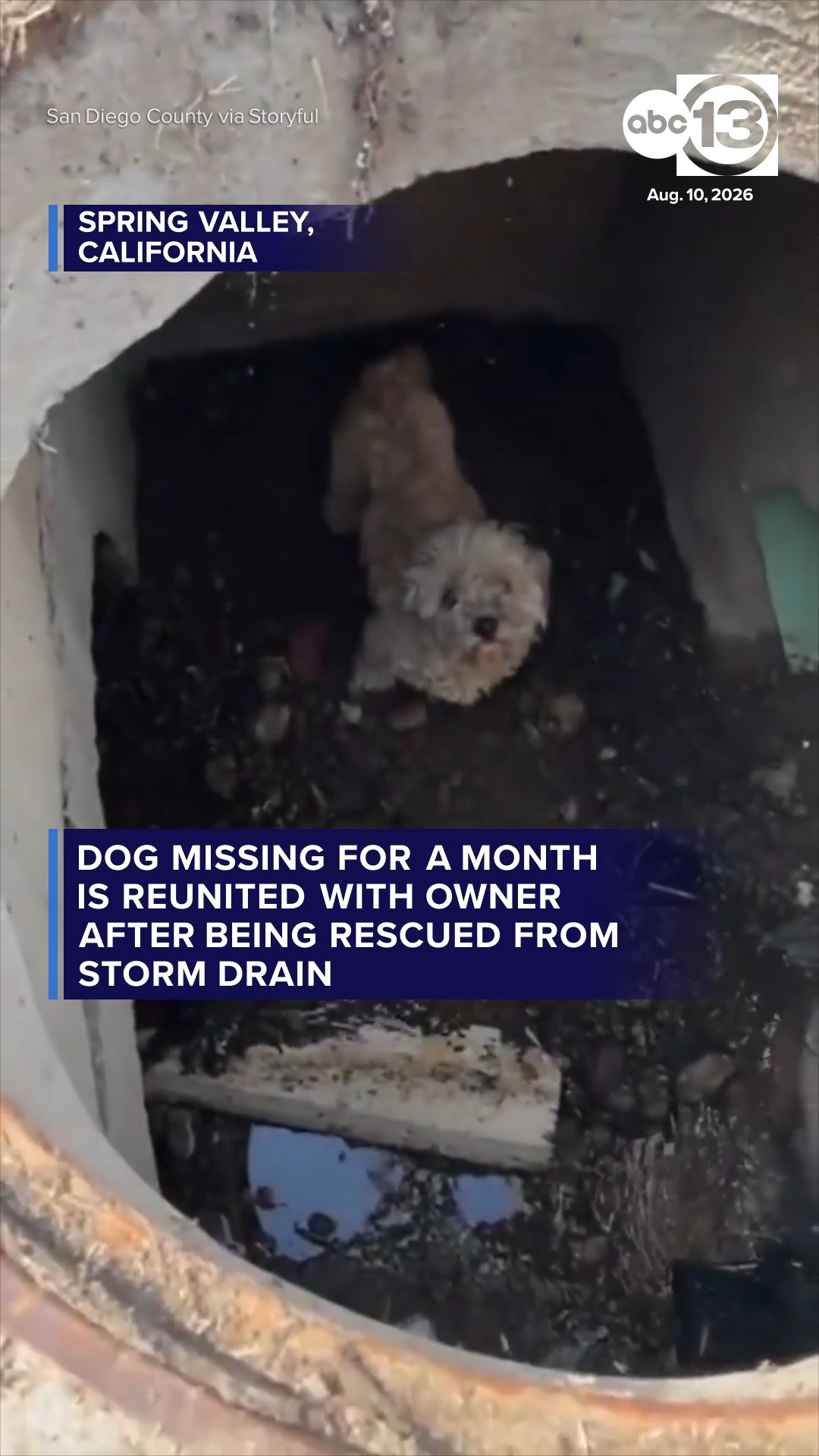 Missing dog reunited with owner after being rescued from storm drain