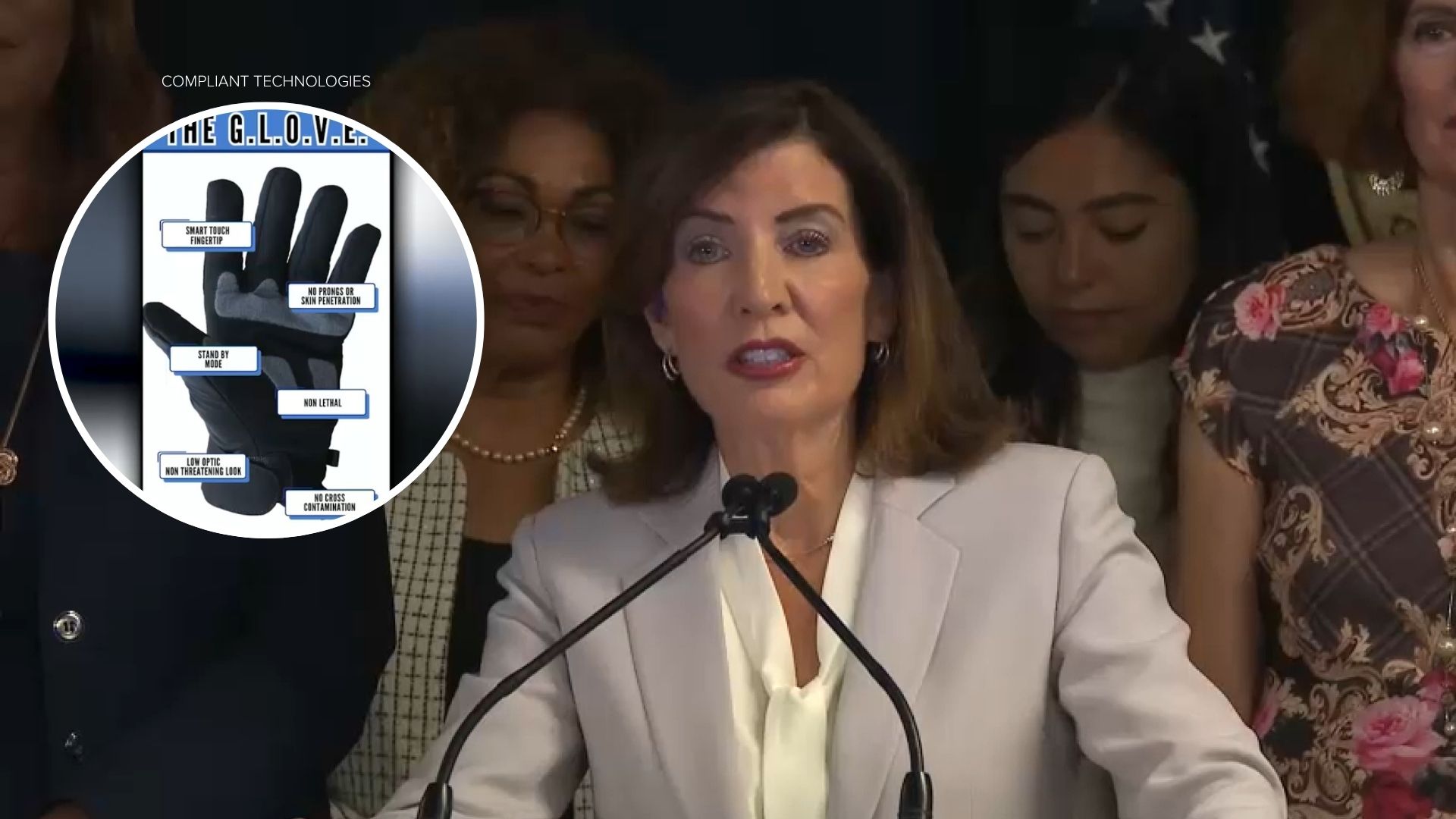 Hochul calls ICE shock device proposal a civil rights concern