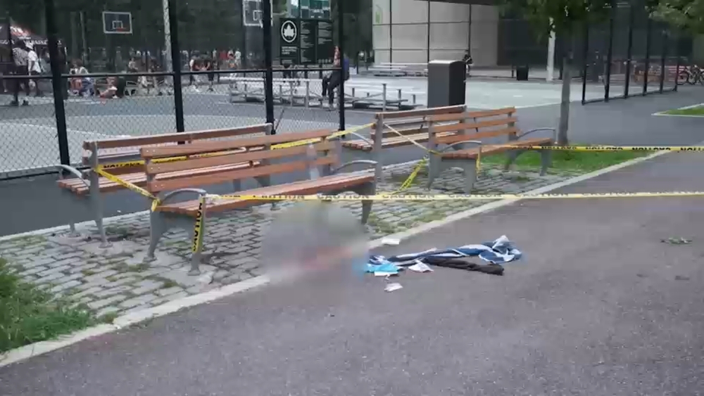Girl loses fingers in firework blast; NYC Parks worker charged