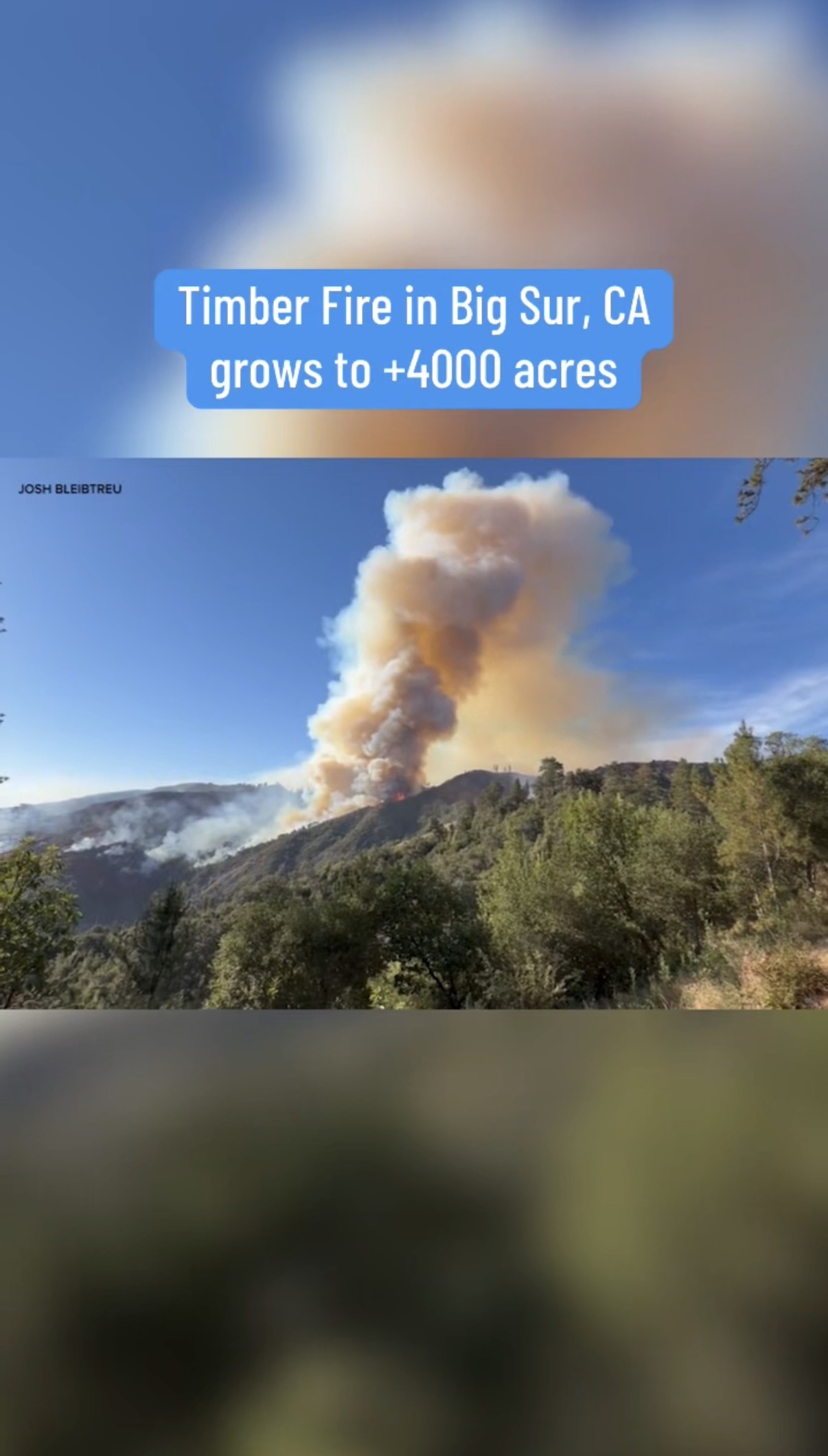 Josh Bleibtreu shares Timber Fire experience