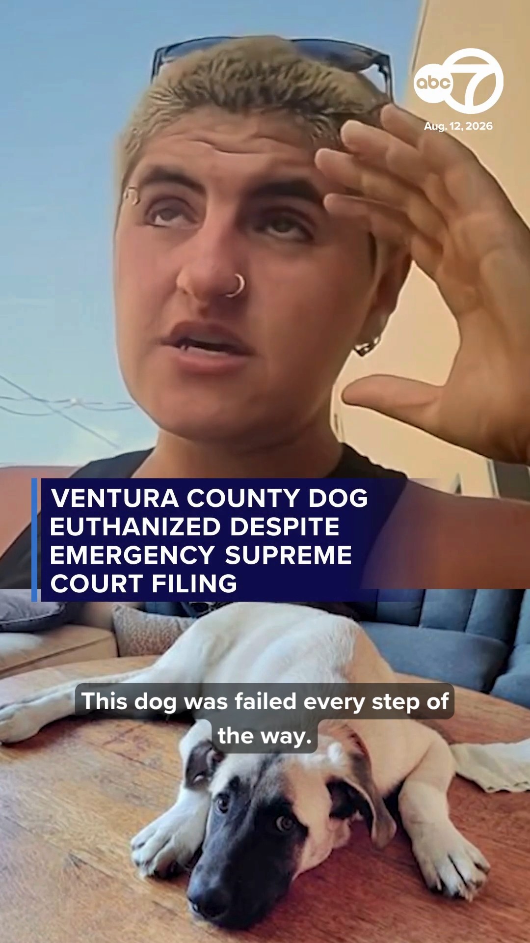 Ventura County dog euthanized despite emergency SCOTUS filing