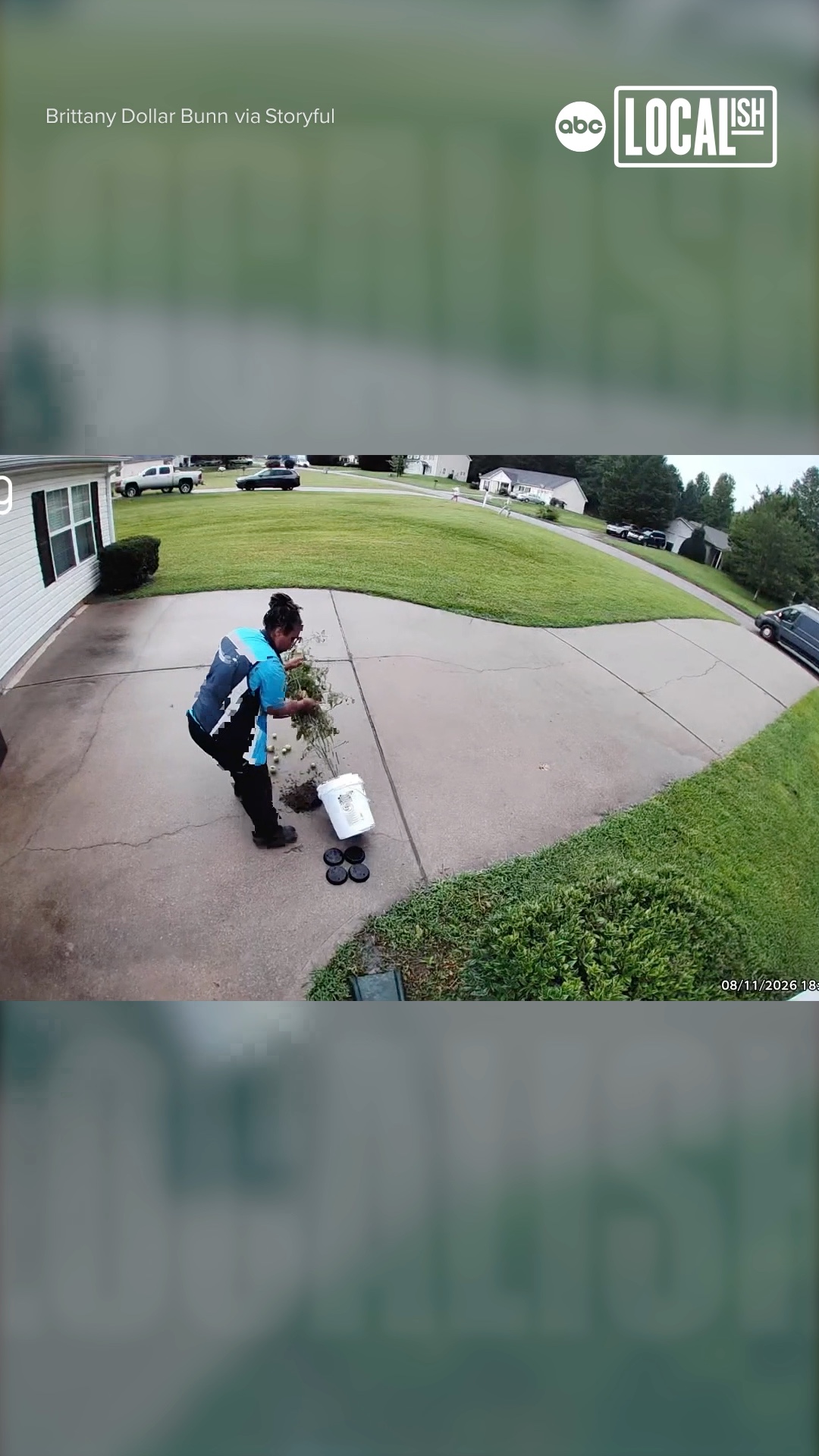 This kind delivery driver rescued a family's prized plant.