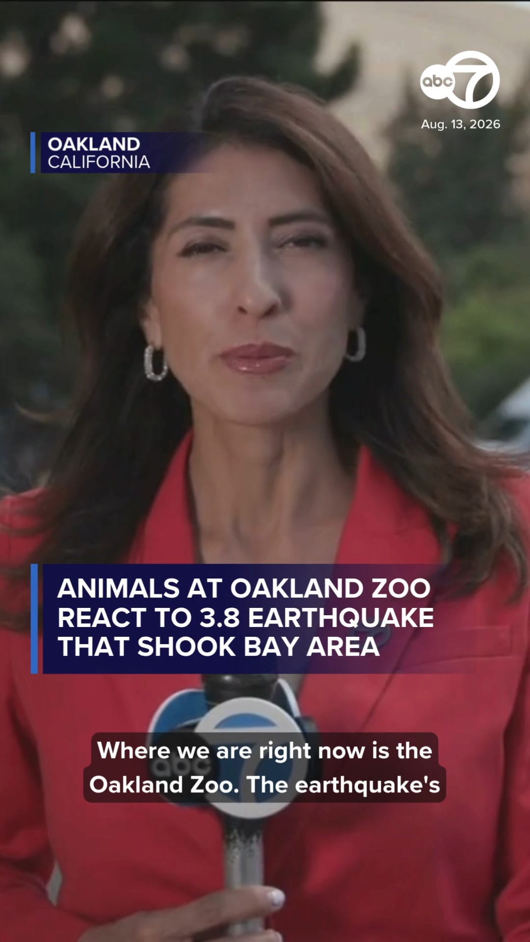 Animals at Oakland Zoo react to 3.8 quake that shook Bay Area