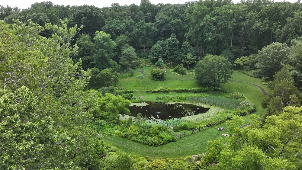 A gorgeous getaway awaits at Jenkins Arboretum & Gardens