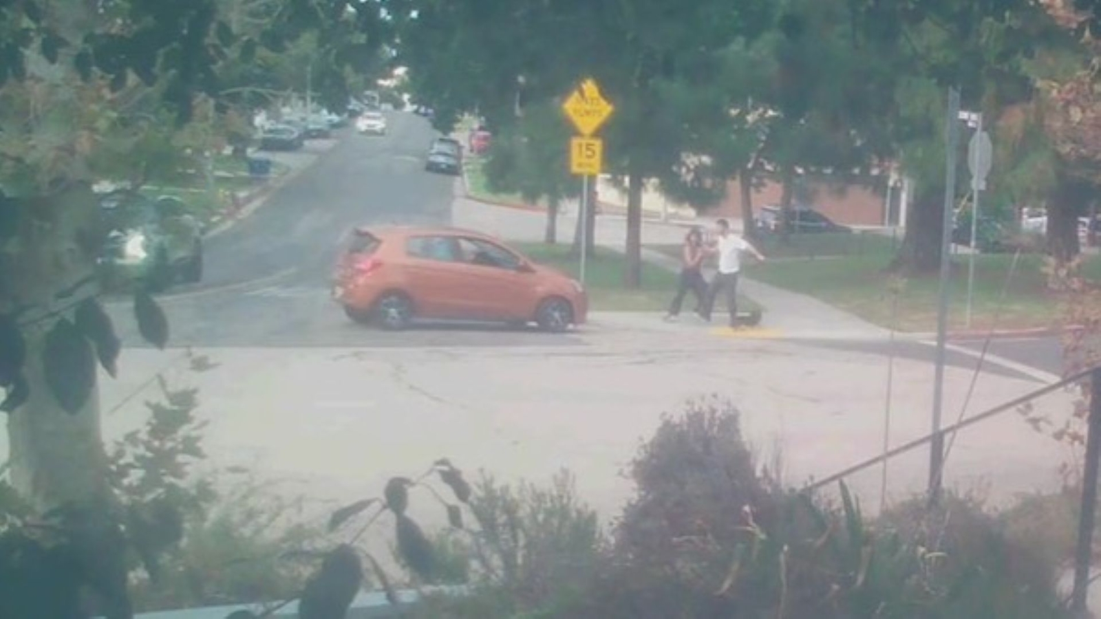 Driver accused of trying to run over couple and their dog at a park in Los Angeles Driver accused of trying to run over couple and their dog at a park in Los Angeles