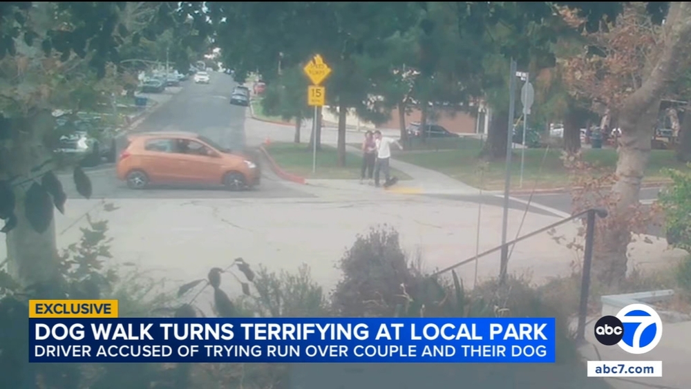 Driver accused of trying to run over couple and their dog at LA park