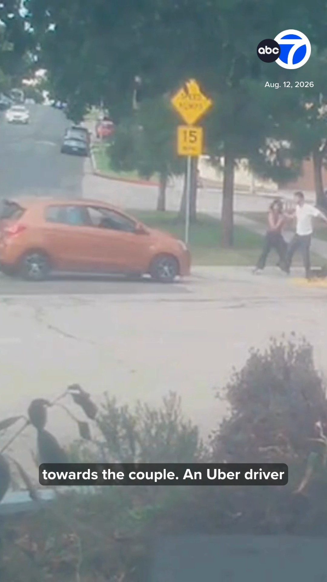 Driver accused of trying to run over couple and their dog at LA park