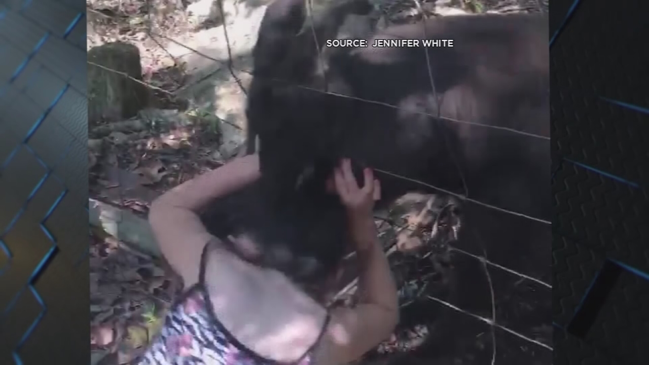 Kangaroo bites girl, 9, at zoo
