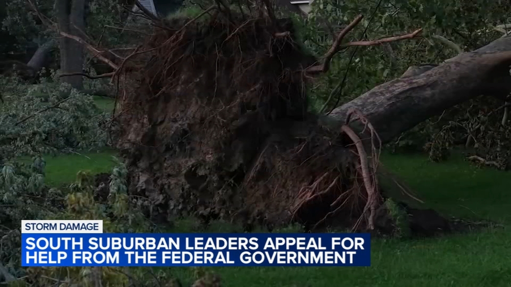 South suburban leaders push for federal storm aid