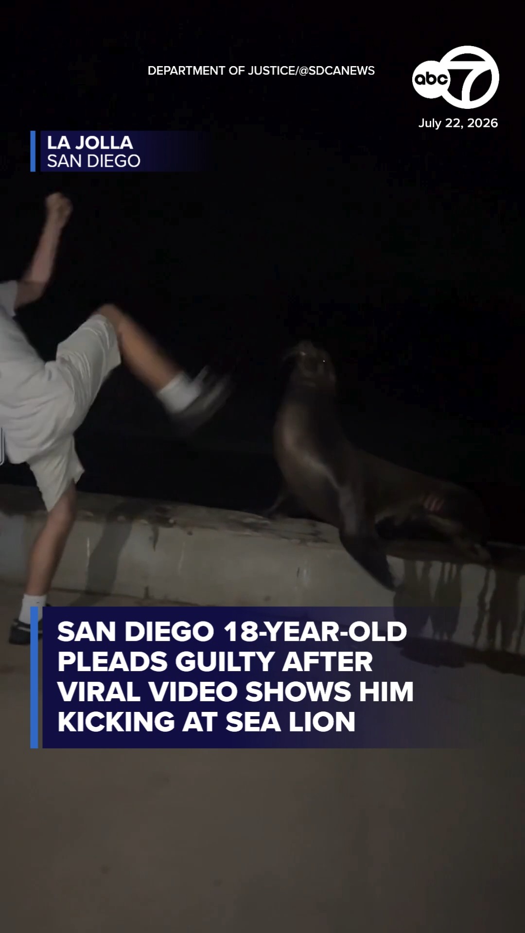 San Diego man pleads guilty to kicking sea lion in viral attack