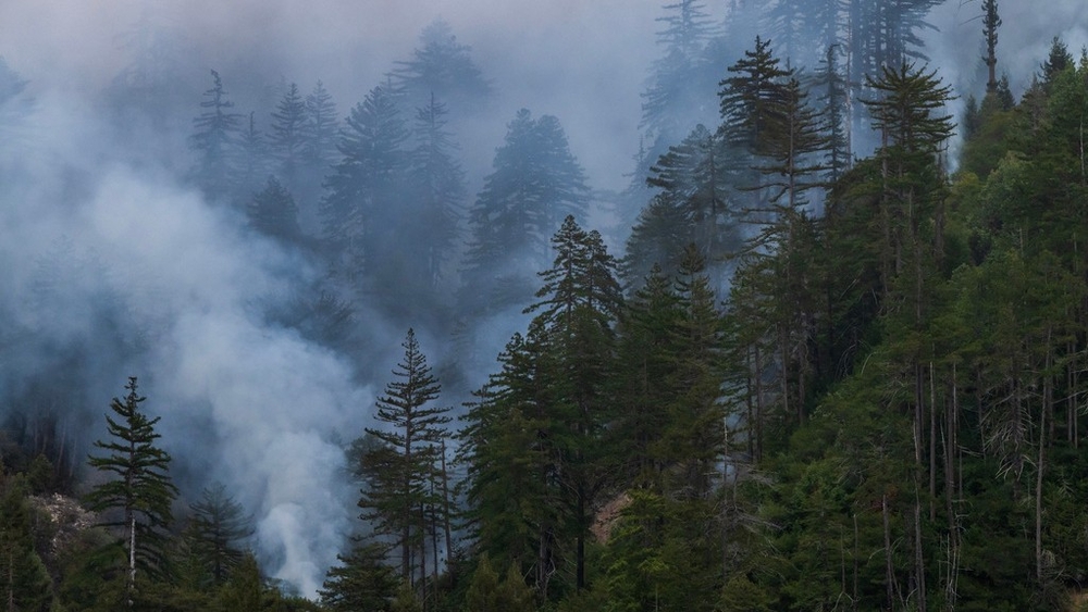 Timber Fire continues to grow with hundreds evacuated in Big Sur area