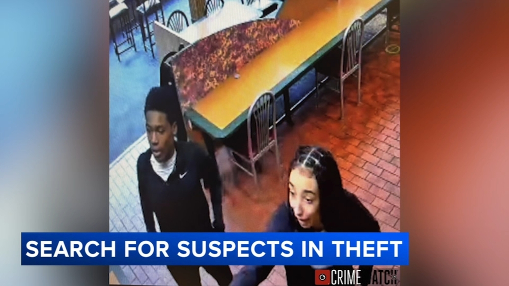 2 suspects sought for alleged theft at Doylestown Planet Fitness