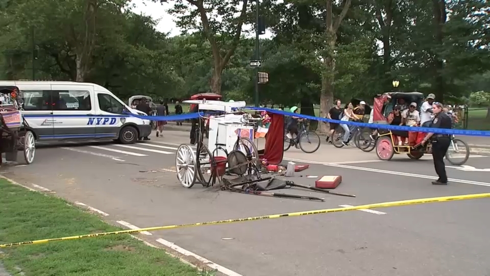 Family of tourist killed in horse carriage accident files $105M lawsuit