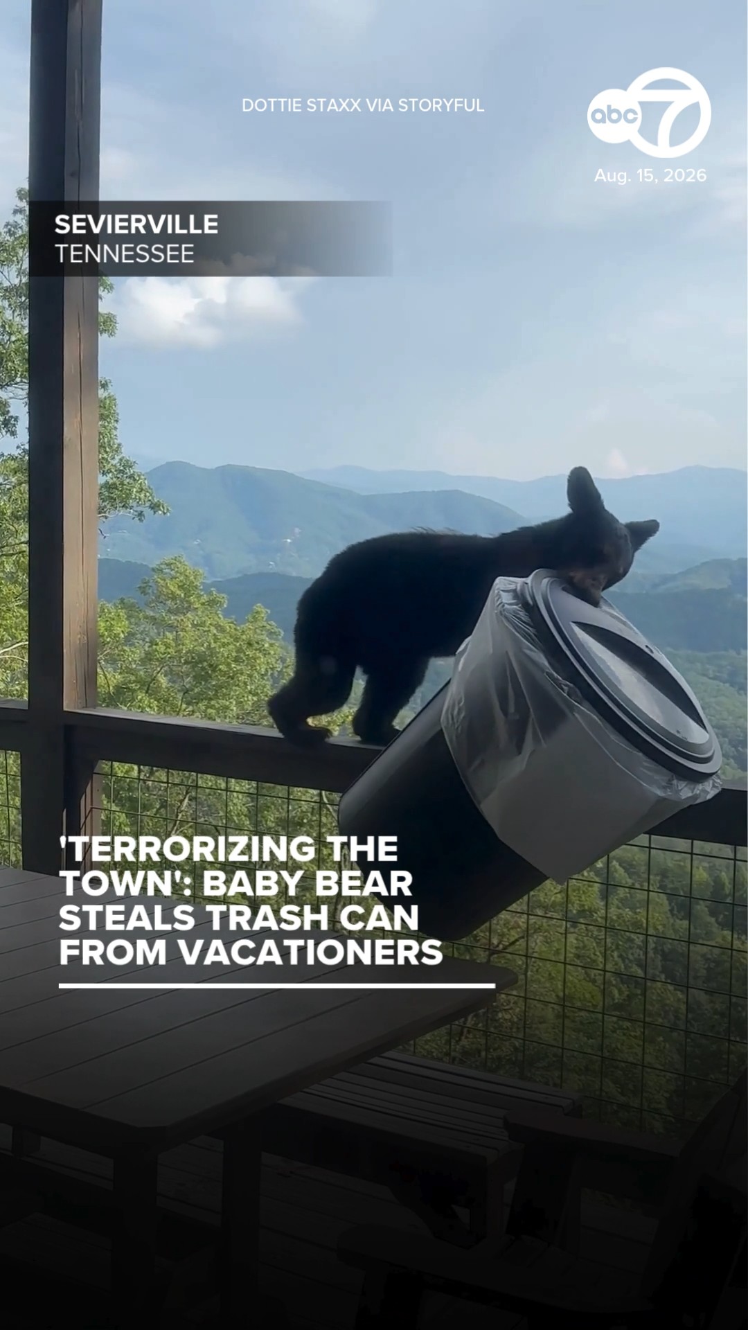 Baby bear steals trash can from vacationers
