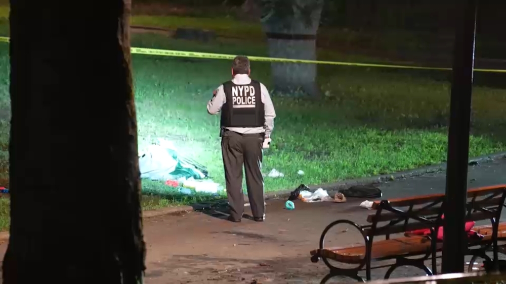 30-year-old woman killed in overnight Brooklyn park stabbing