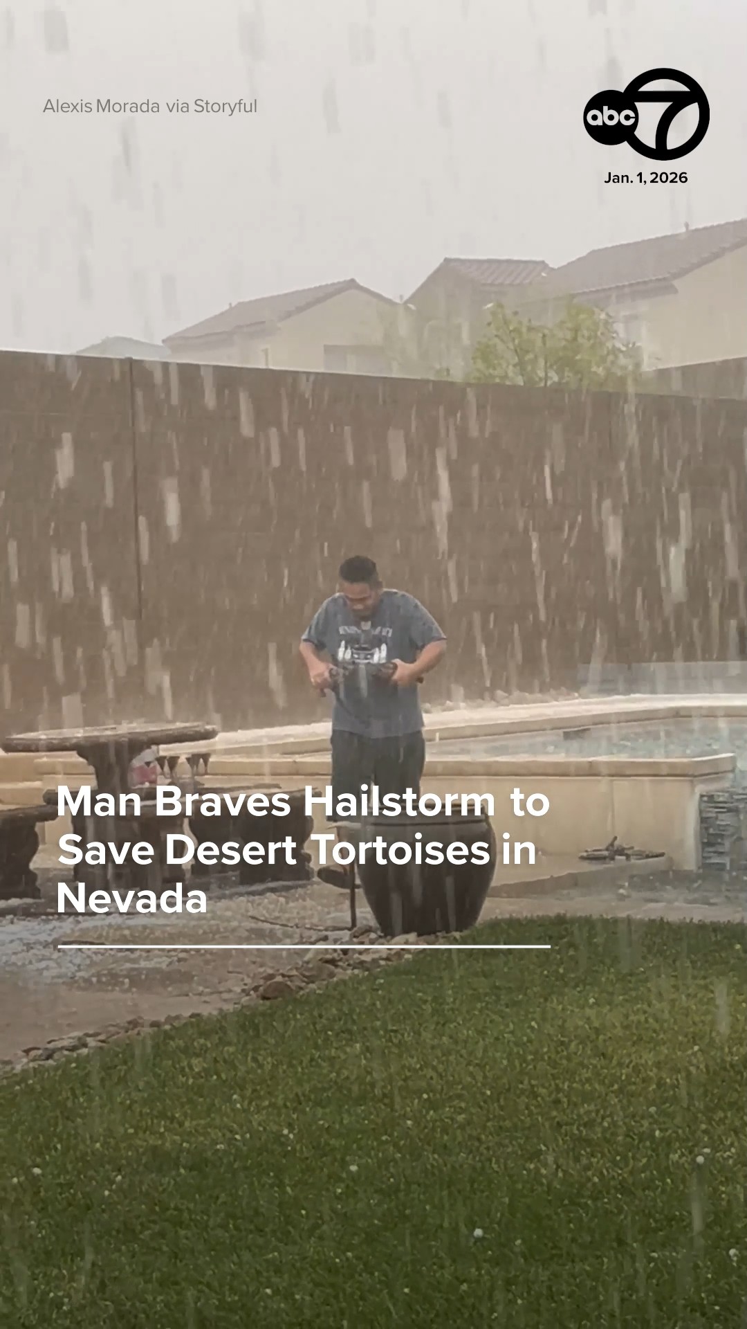 Man braves hailstorm to save desert tortoises in Nevada