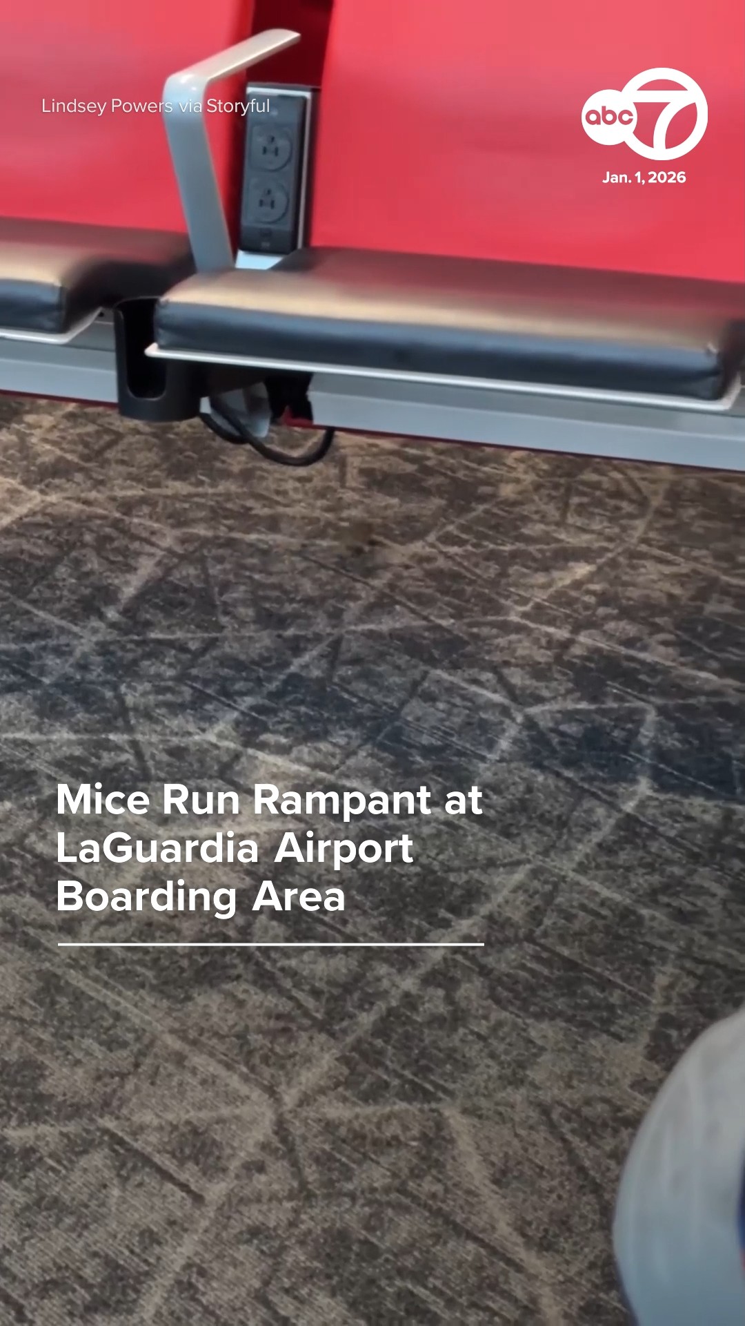Mice run rampant at LaGuardia Airport boarding area