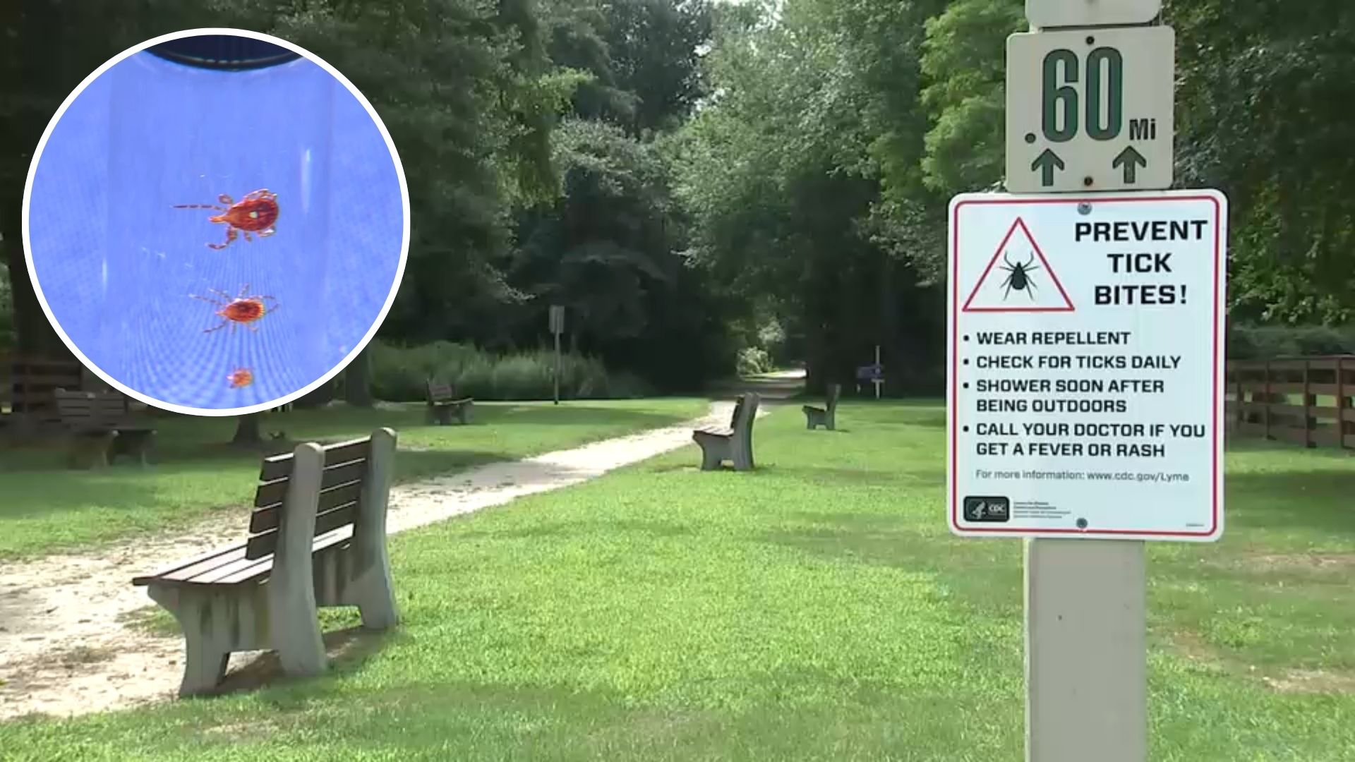 Suffolk County steps up prevention efforts as tick bites increase