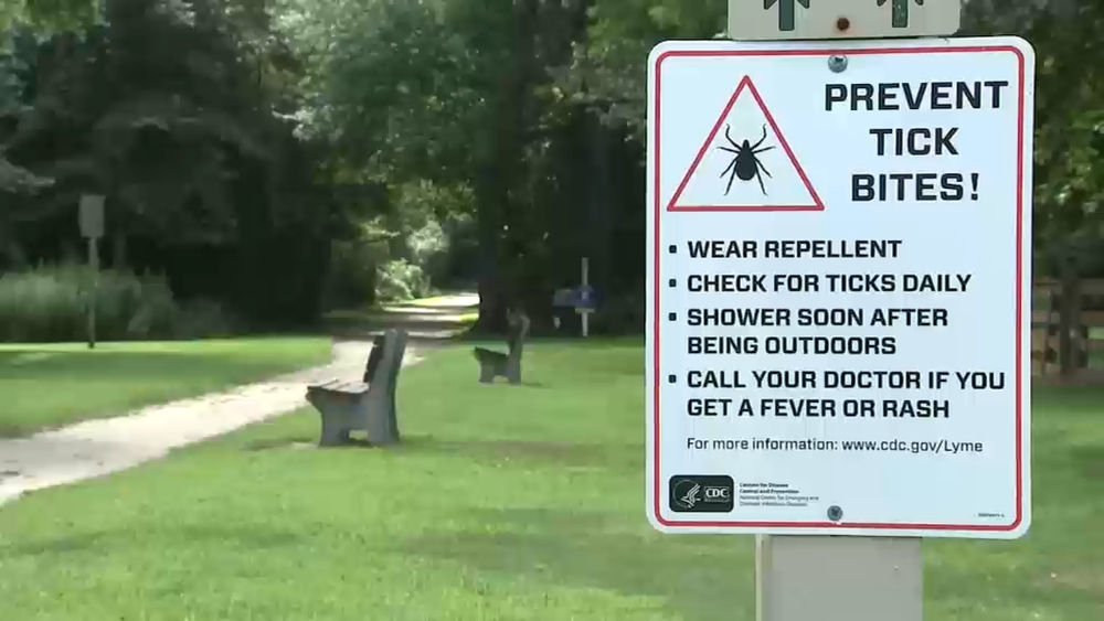 How Suffolk County is fighting the rising tick population and ways to protect yourself