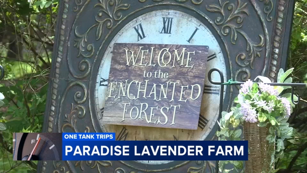 Visit an enchanted fairy forest at Paradise Lavender Farm in the Poconos | One Tank Trips