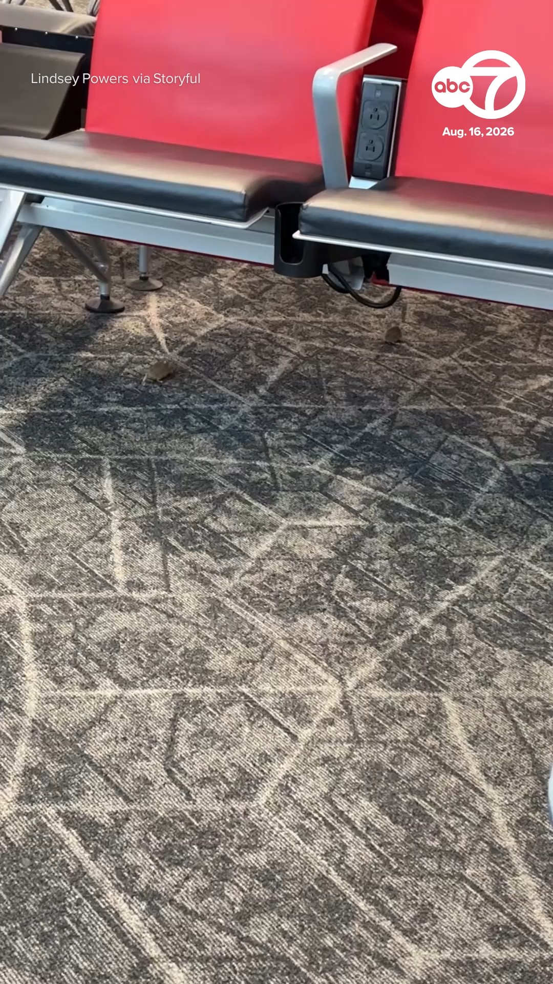 Mice Run Rampant at LaGuardia Airport Boarding Area