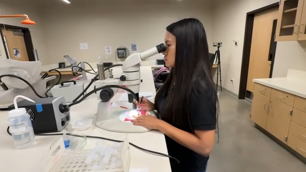 Fresno State alumna's award-winning research explores new mosquito-tracking tool