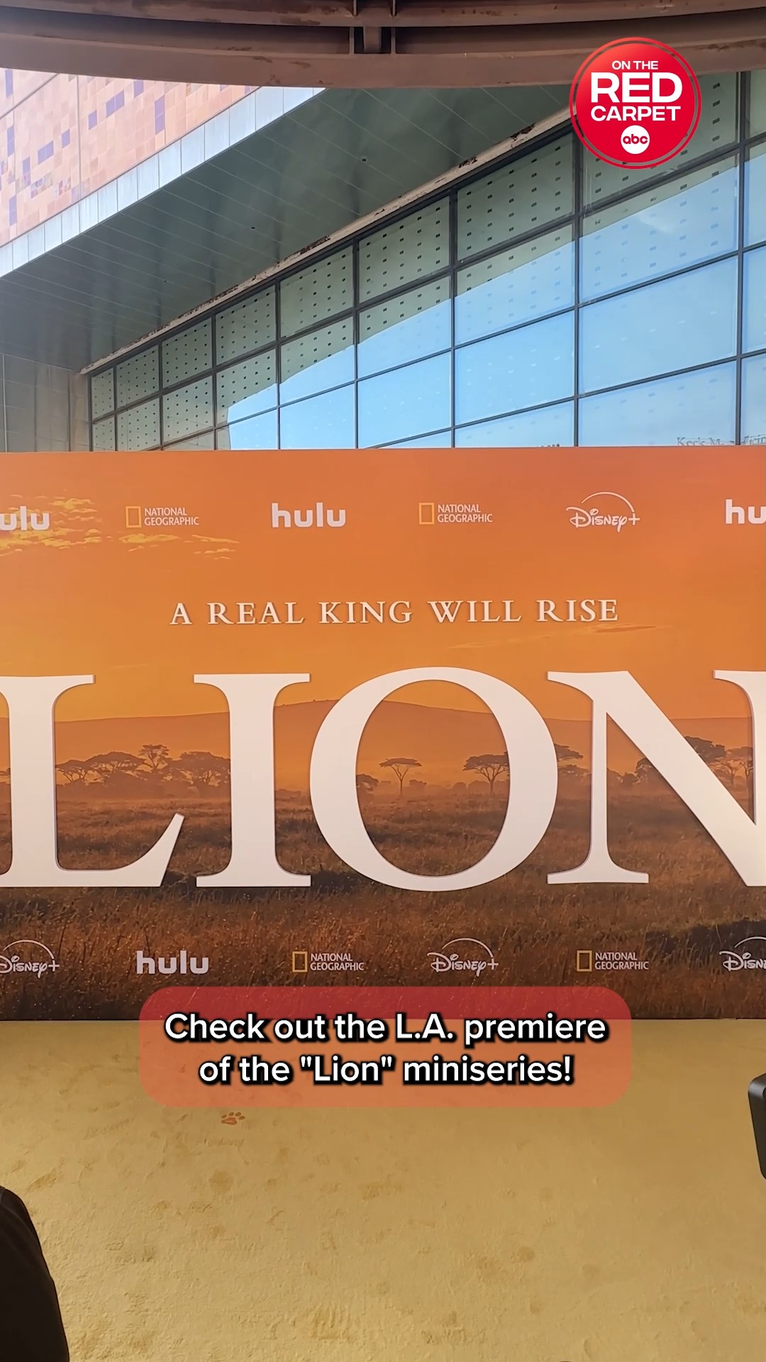 Take a glimpse inside the L.A. premiere of Nat Geo's 'Lion'