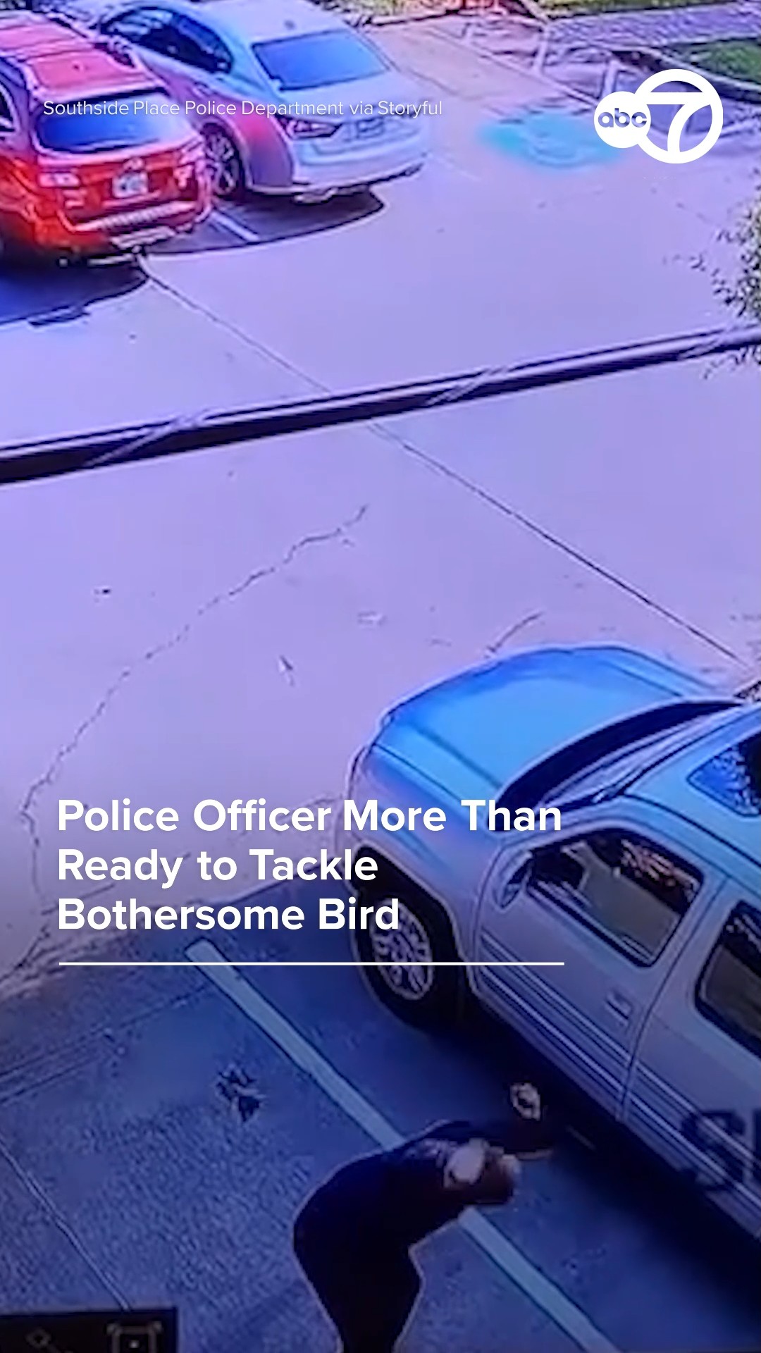 Police Officer More Than Ready to Tackle Bothersome Bird
