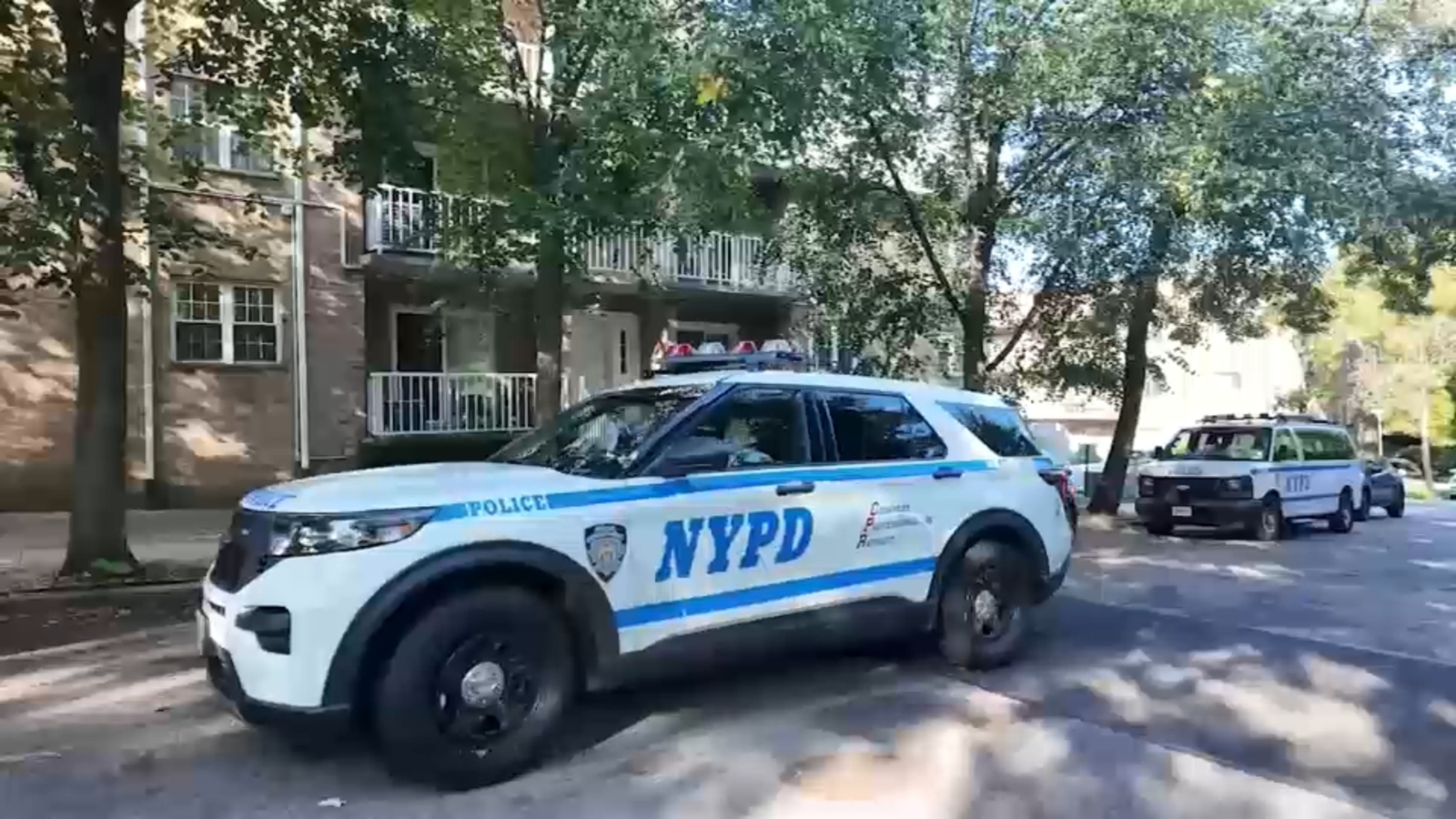 Assault News Image