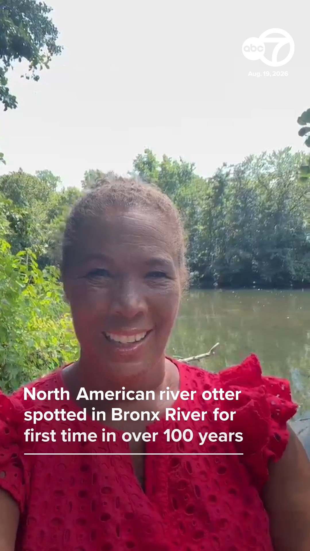 North American River Otter Spotted In Bronx River