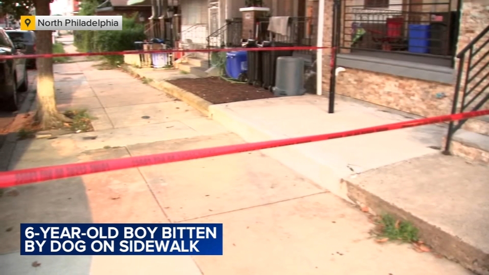 6-year-old bitten by dog while child was playing on sidewalk in North Philadelphia