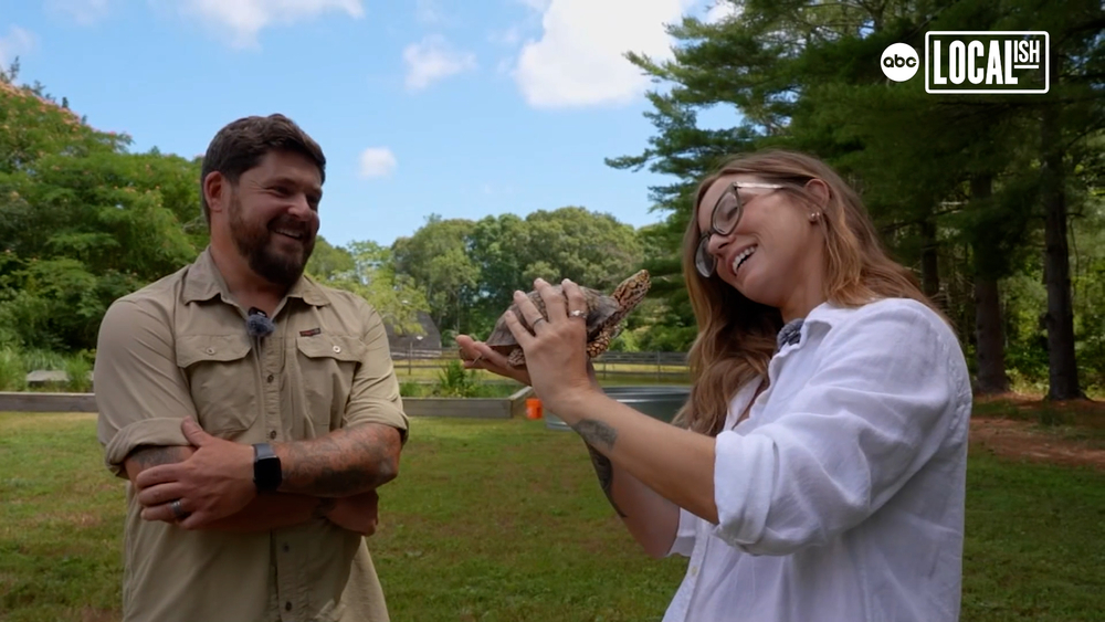 Couple provides sanctuary to hundreds of animals