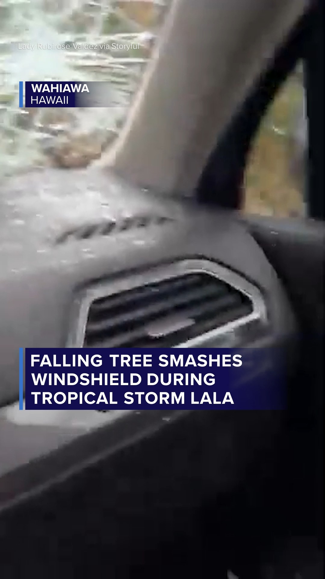 Falling tree smashes windshield during tropical storm Lala