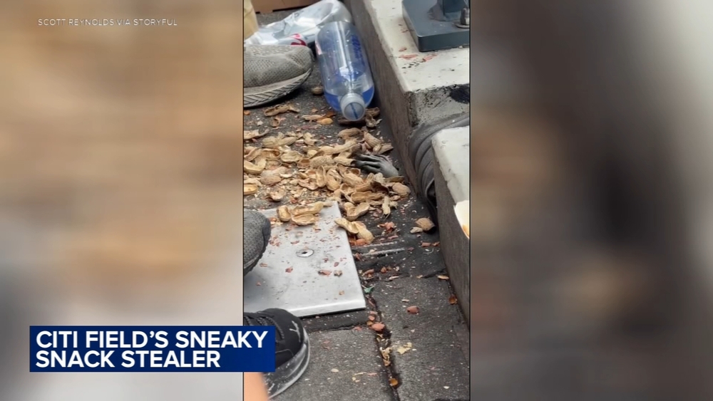 Citi Field's sneaky snack stealer caught on video