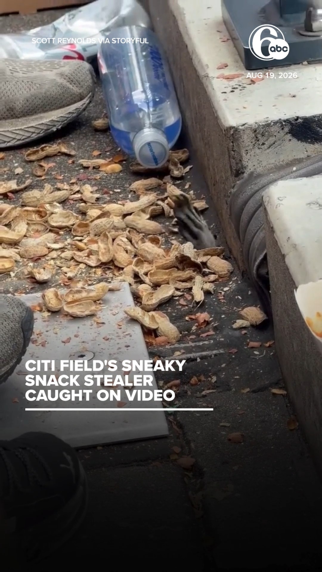 Citi Field's sneaky snack stealer caught on video