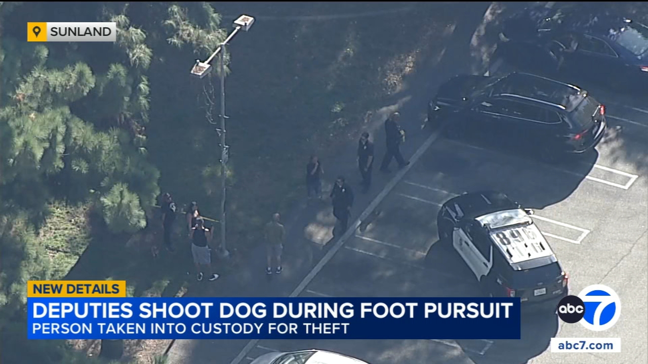 Deputies shoot dog during foot pursuit of theft suspect in Sunland