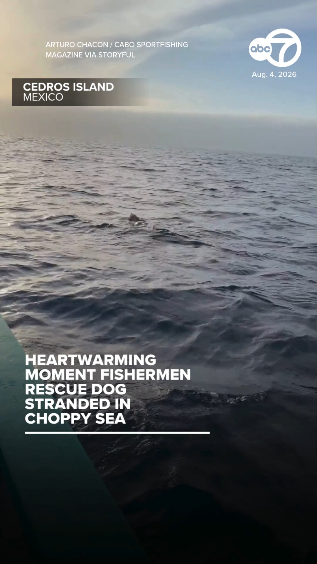 Heartwarming moment fishermen rescue dog stranded in choppy sea