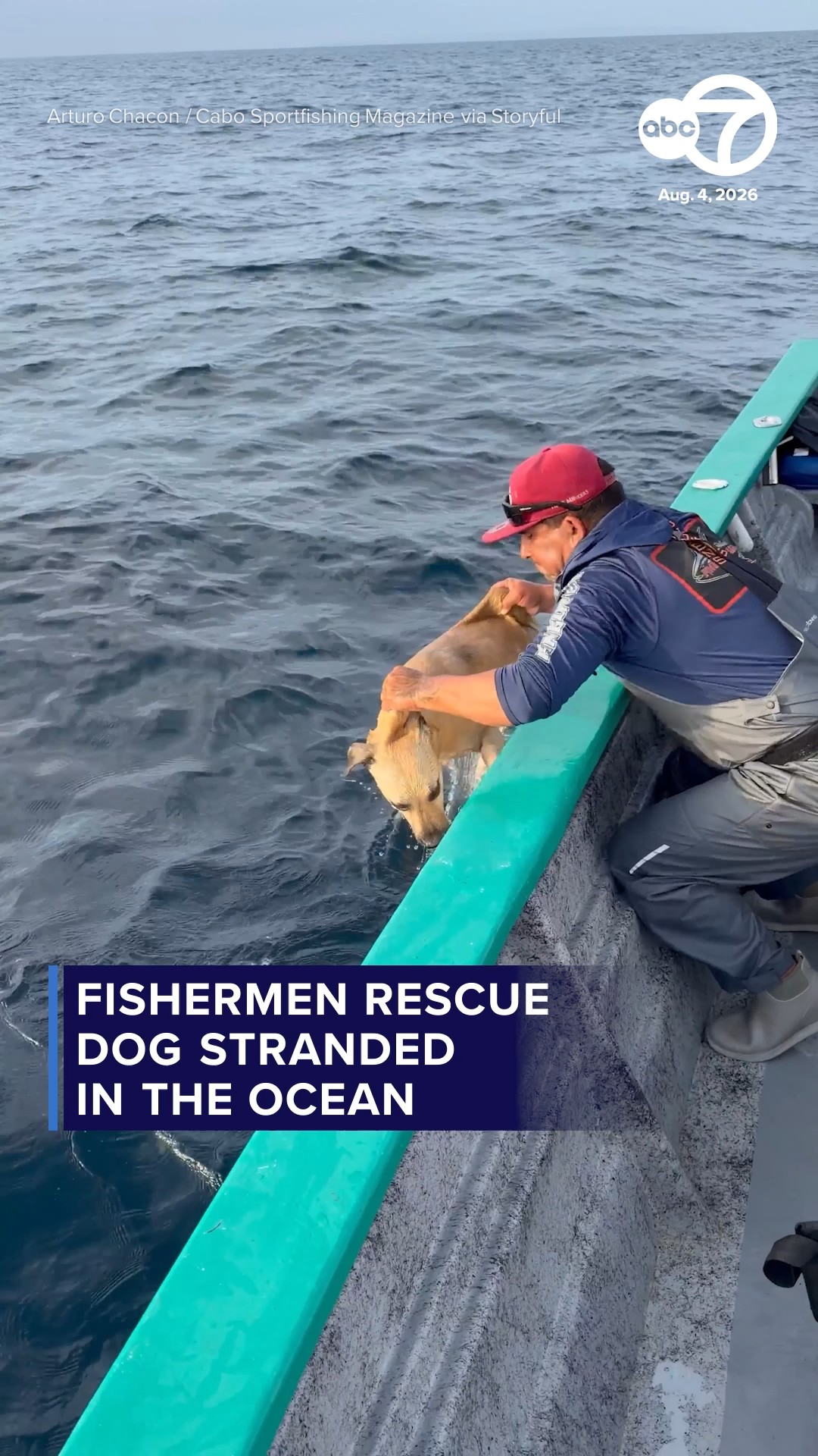 Fishermen rescue dog stranded in the ocean