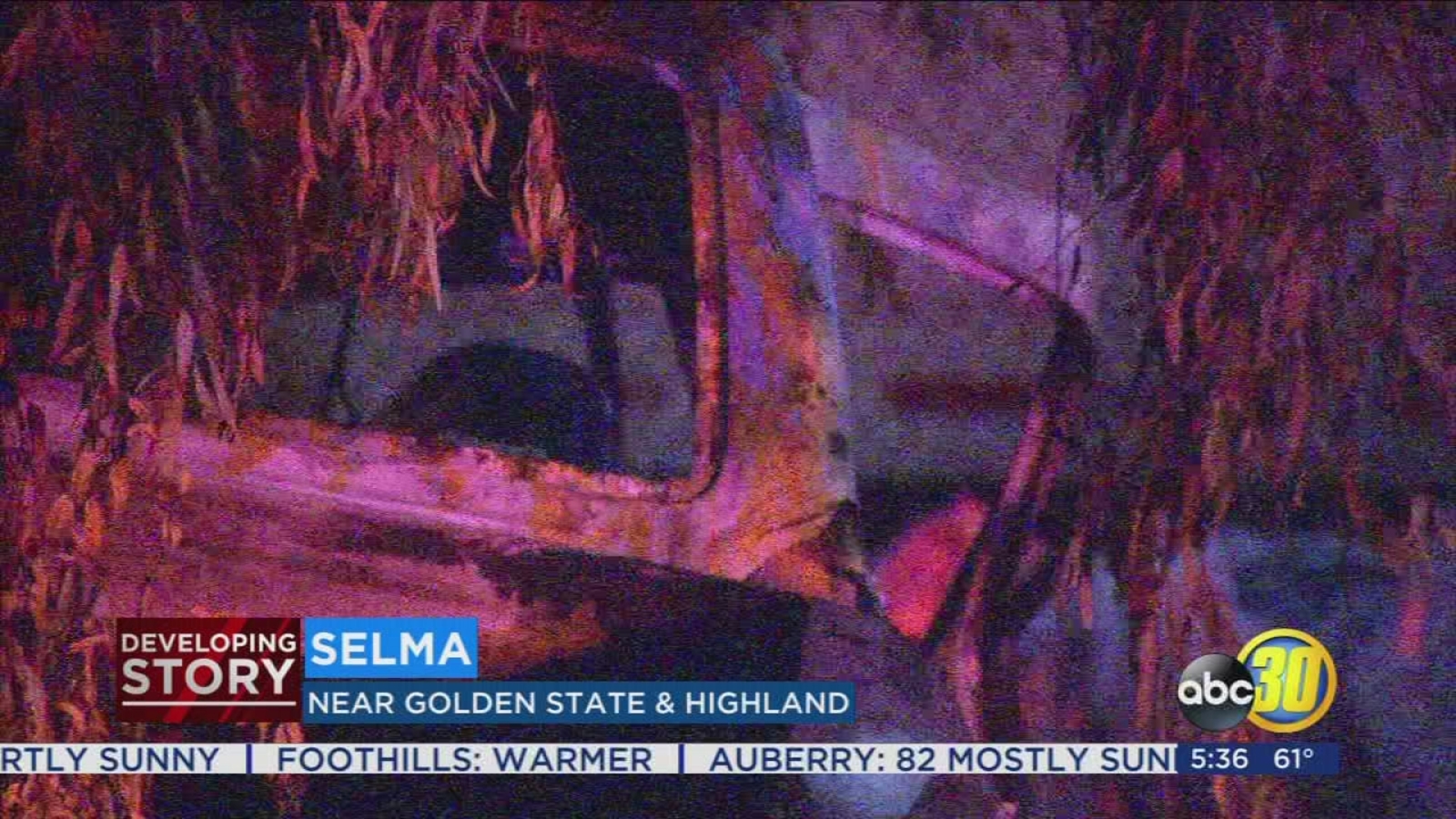 Driver dies after crashing into tree in Selma - ABC30 Fresno