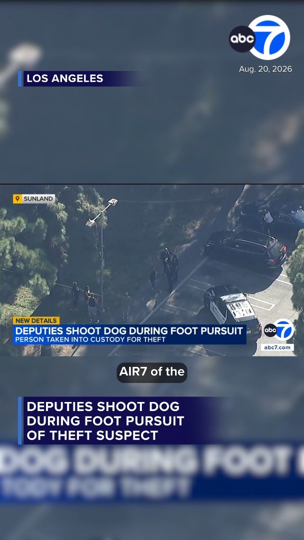 Deputies shoot dog during foot pursuit of theft suspect in Sunland
