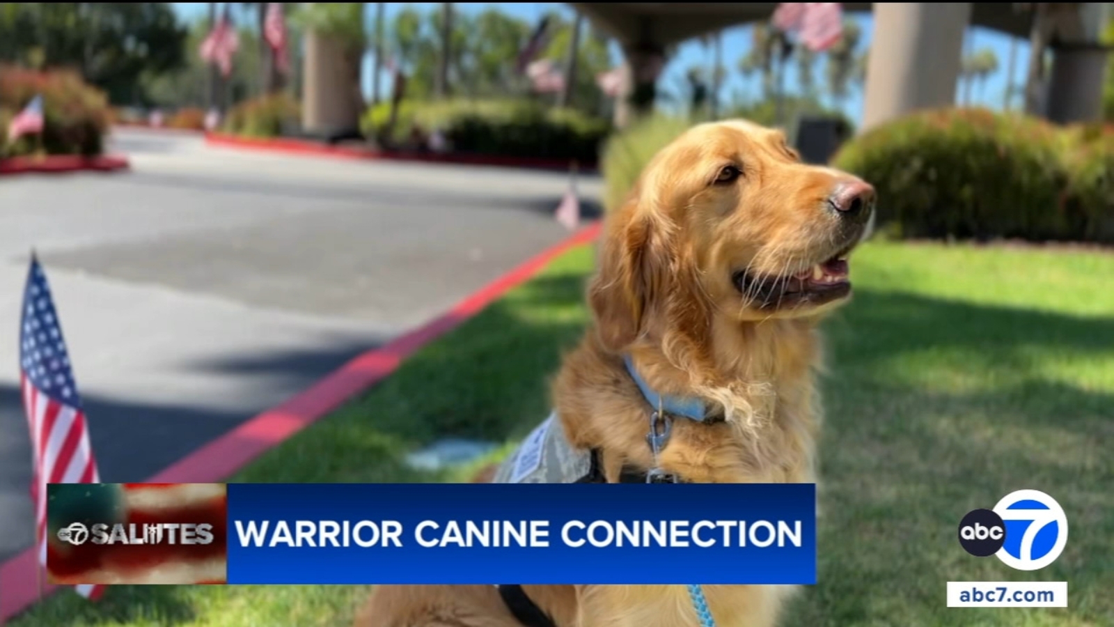Warrior Canine Connection continues partnership with Tee It Up for the Troops
      