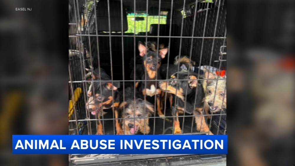 24 dogs rescued from unsanitary conditions in Mercer County