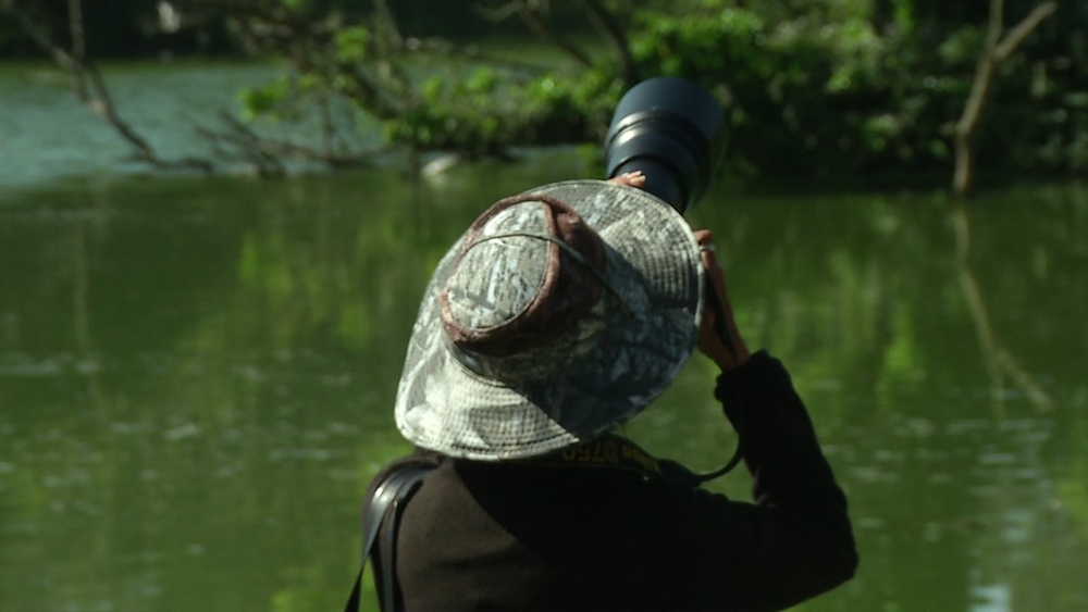 SFPD investigating Stow Lake camera thefts