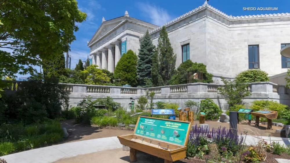 New hands-on exhibit at Shedd Aquarium