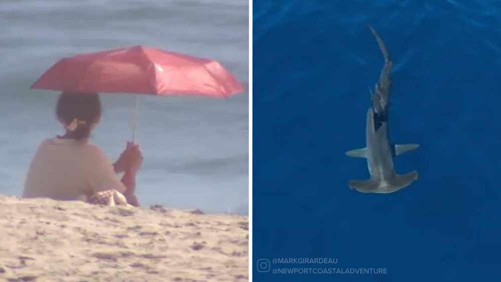 Beachgoers flock to OC beaches while officials monitor marine activity