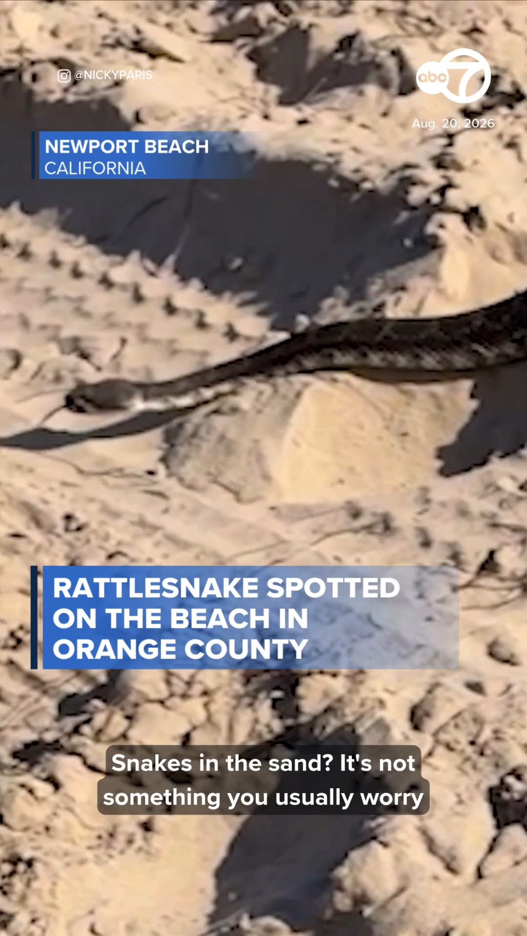 Rattlesnake spotted on the beach in Orange County