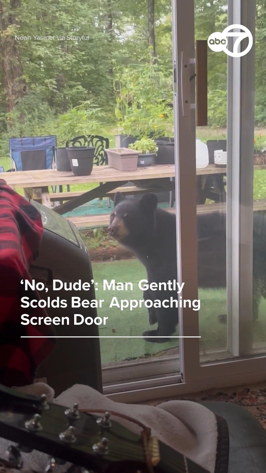 'No, dude': man gently scolds bear approaching screen door 
