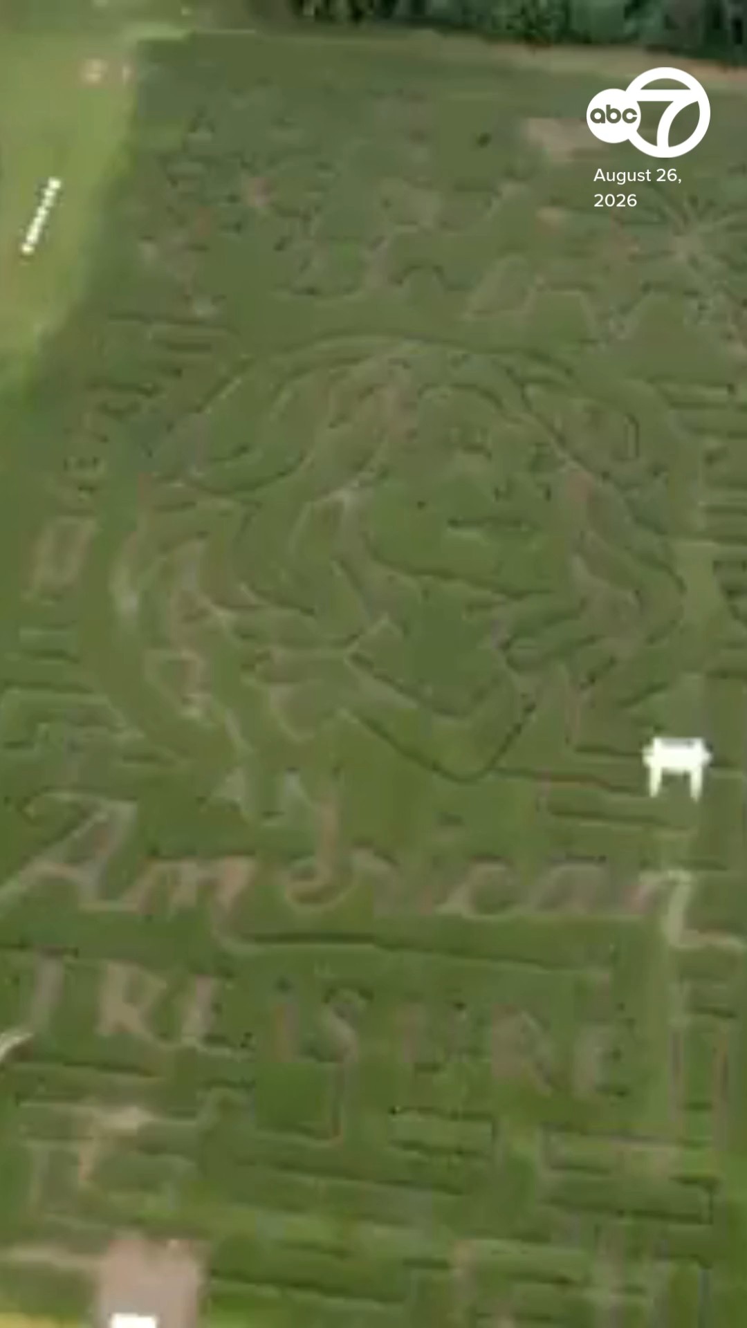Dolly Parton corn maze in Woodstock