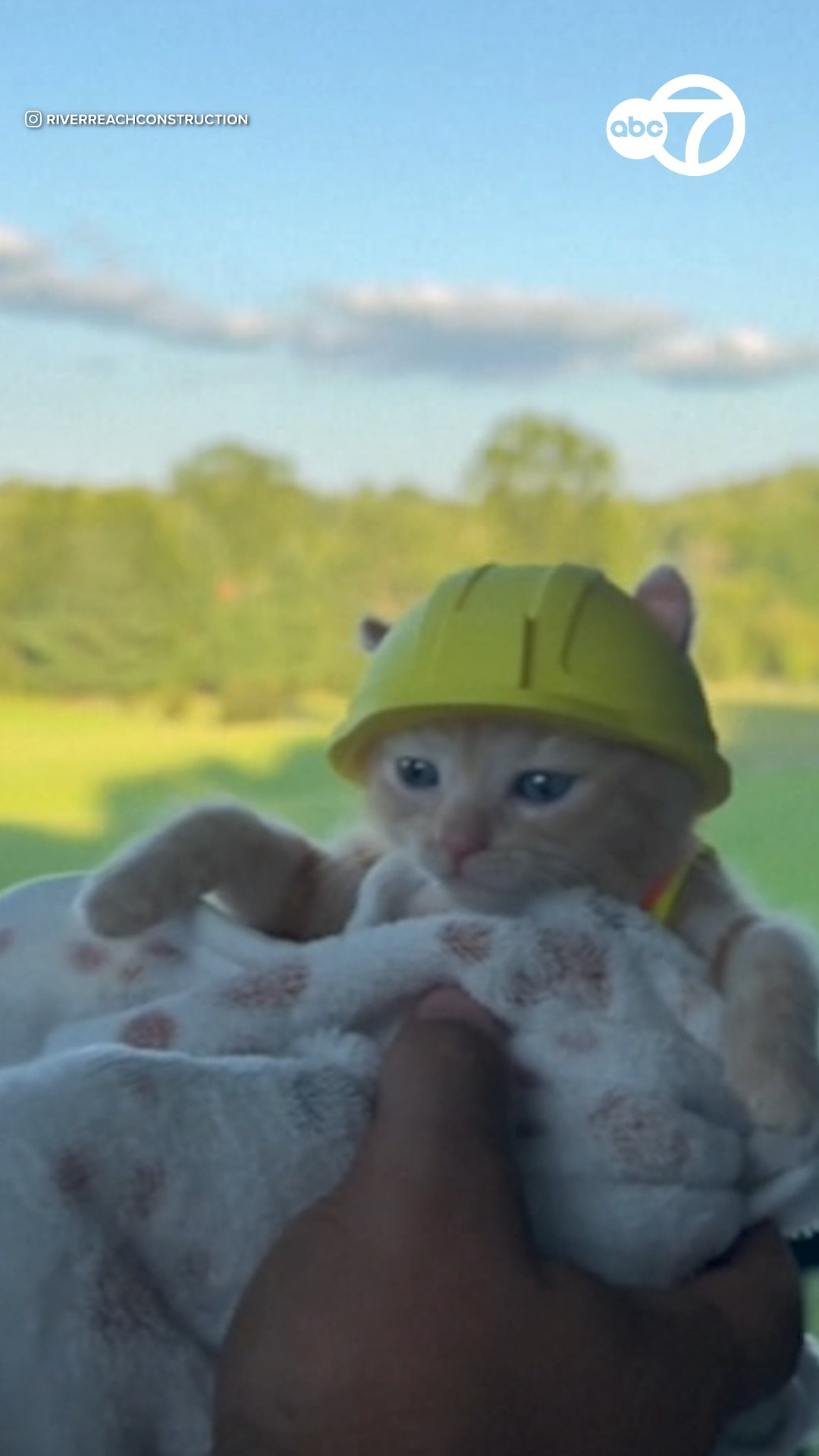 Kitten rescued from excavator becomes part of construction crew
